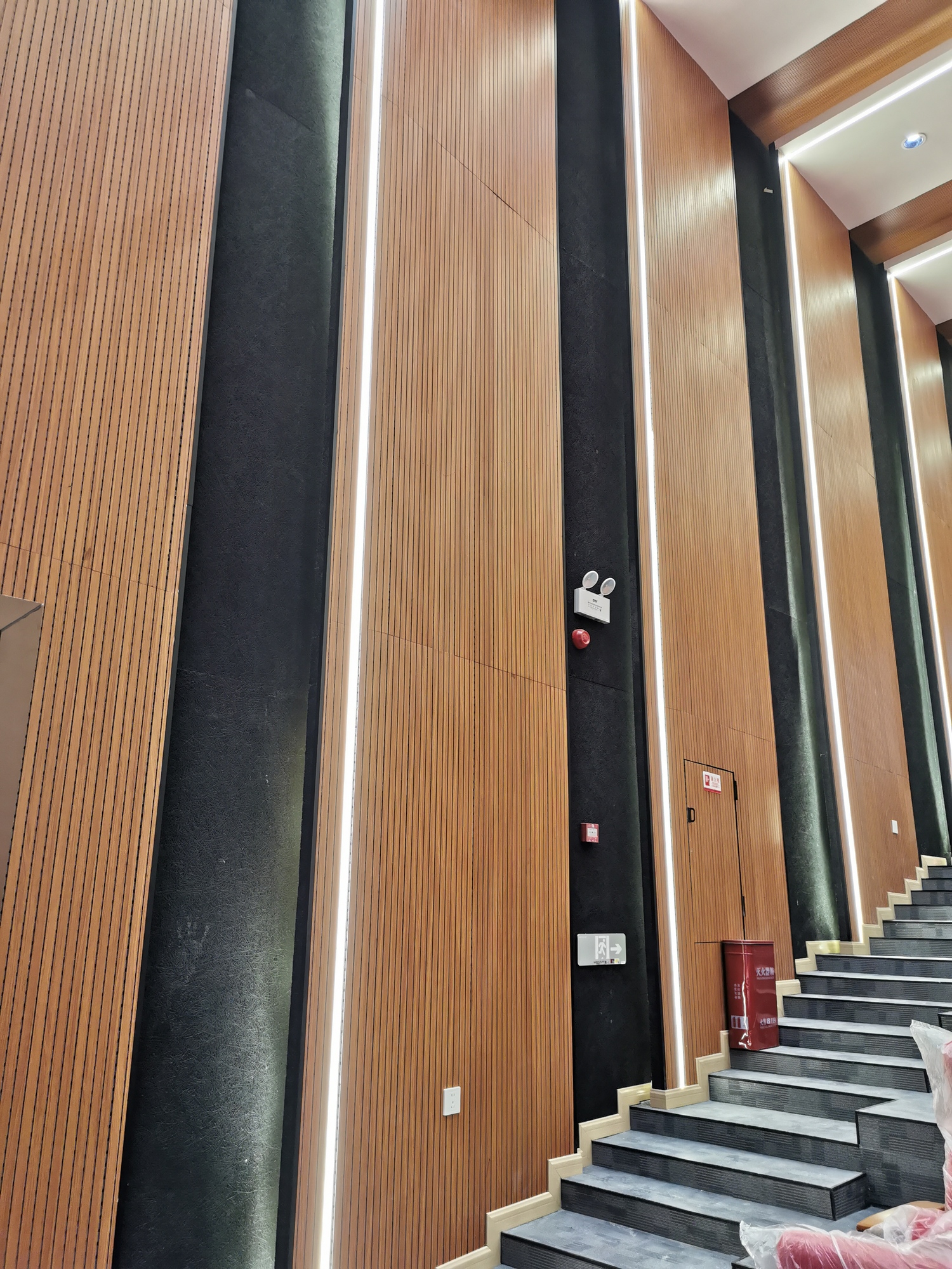 IMG_20240709_093836.jpg