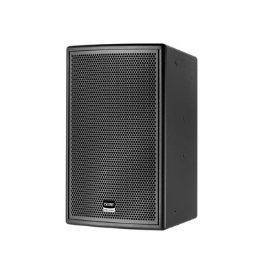 MT10 10寸两分频音箱