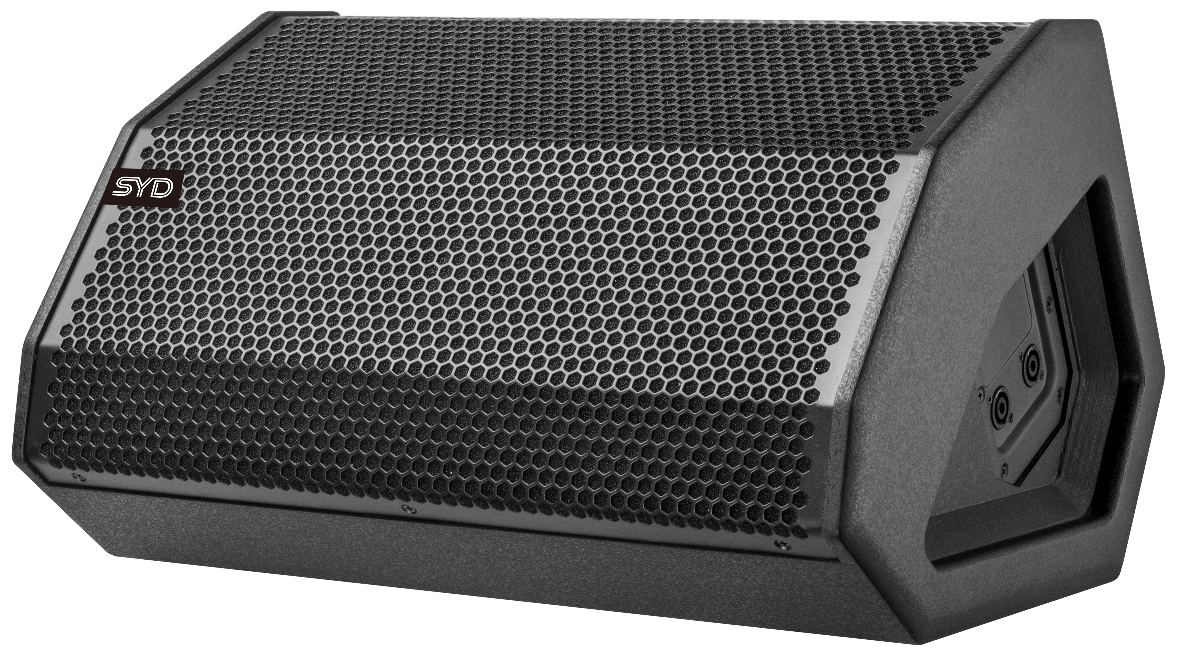 MS5000-15寸返聽音箱